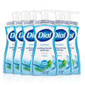 Dial Antibacterial Foaming Hand Soap with Aloe, 7.5 Fl Oz (Pack of 6)