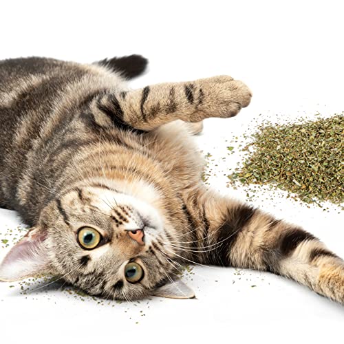 SmartyKat Catnip & Silvervine Blend for Cats & Kittens, Resealable Pouch - 0.75 Ounce (Pack of 2)