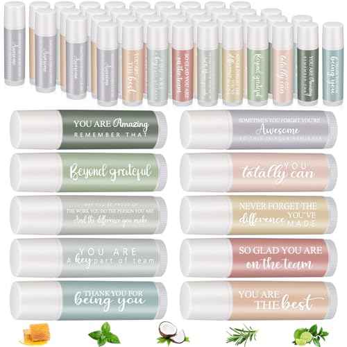 50 Sets Christmas Employee Appreciation Gifts Bulk Lip Balm Favors Xmas Thank You Team Gifts for Coworkers Staff Teacher Nurse Volunteer Thanksgiving Appreciation Christmas Stocking Stuffers