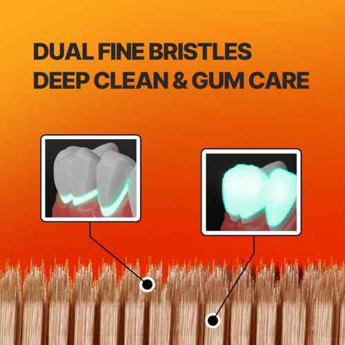 WANGTA Shorty ? Standard Toothbrush ? 1.0 inch (2.5 cm) Head | Dual Micro Bristles for Gentle Gum Care & Effective Cleaning | Made in Korea Oral Care (6 Pack)