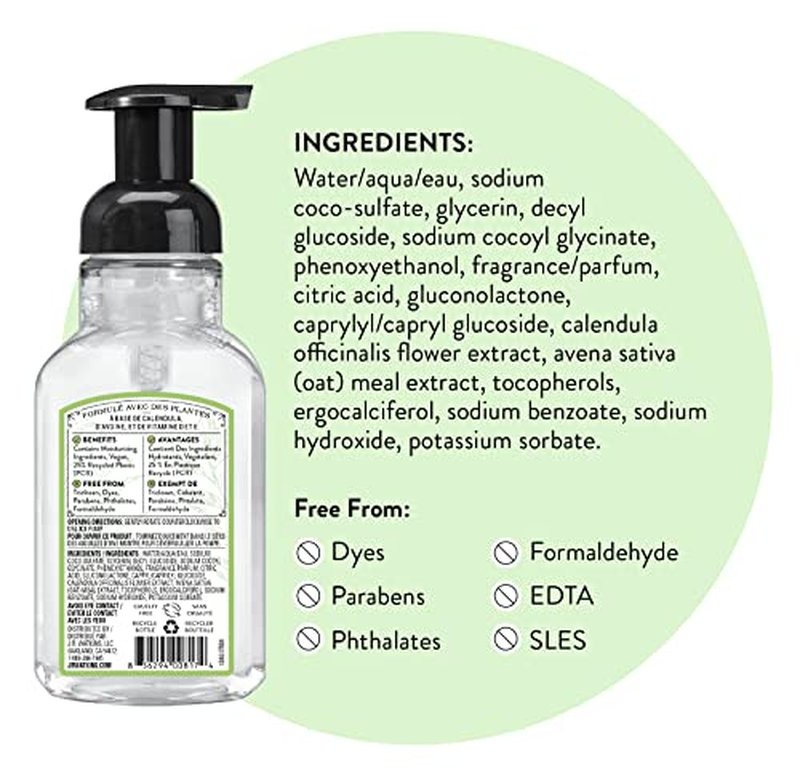 J.R. Watkins Aloe & Green Tea Foaming Hand Soap - 9 oz