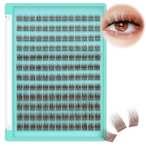 Dark Brown Cluster Lashes B Curl 8-10-12mm Mixed Volume