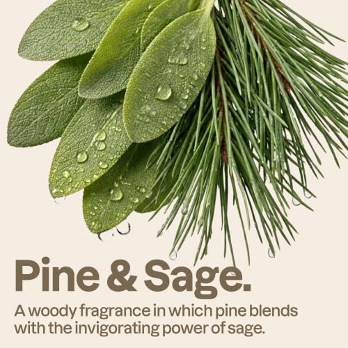 ATTITUDE Hand Soap 16 oz Pine & Sage EWG Verified Natural Plant-Based Refill