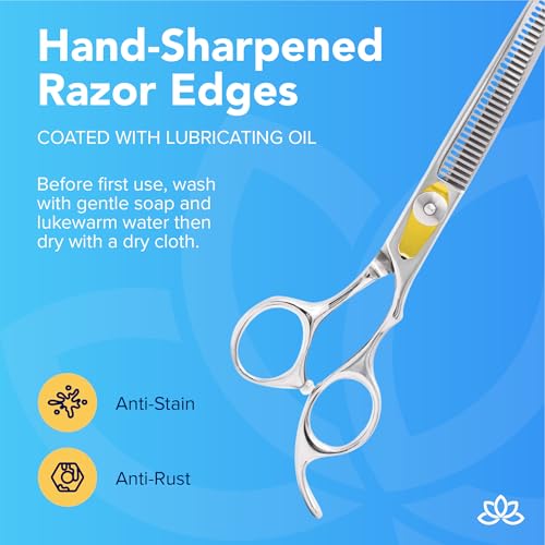 Equinox International, Professional Hair Scissors, Japanese Stainless Steel-Barber Hair Cutting Texturizing Thinning Razor Edge Series Teeth Shears for Men/Women/Kids/Salon & Home-6.5" Overall Length