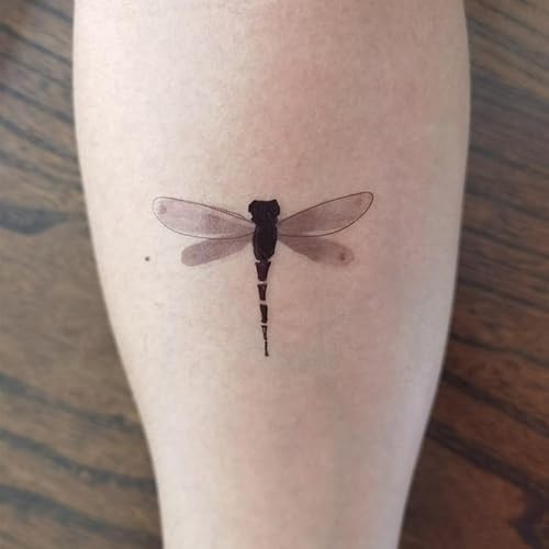 Dragonfly Temporary Tattoo Sticker Waterproof Insects Adult Men Women Hand Arm Shoulders Body Art 10.5X6cm Set of 12 (SF269)