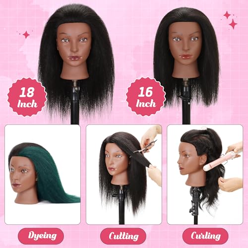 Mannequin Head with 100% Human Hair for Braiding & Styling