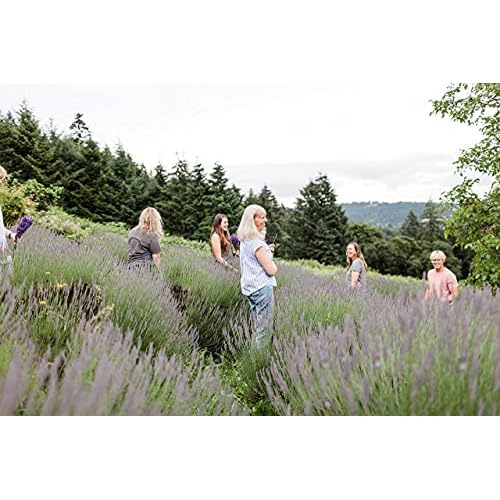 Victoria's Lavender Neck Wrap Gift Set with Bath Salts, Hand & Body Lotion - Skin Care Set & Spa Kits, Bath and Body Products for Women, Beauty Products For Women Made in the USA - Lavender (Set of 3)