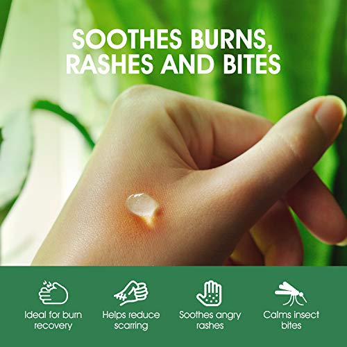 Aloe Vera Gel With Cold Pressed Aloe Vera - Pure Sunburn Relief, Bug Bites, Small Cuts - Soothing Moisturizer Lotion For Face, Hair and Body - 10 Fl Oz