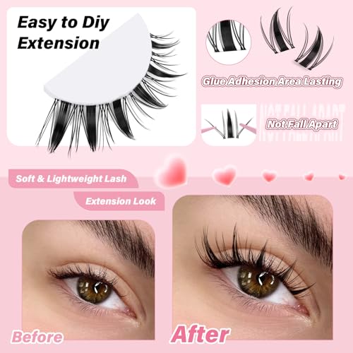 Fairy Lash Clusters Manga Eyelash Clusters Natural Look Anime 144pcs D Curl 8-18MIX Spiky Wispy Individual Lashes (Fairy-8-18MIX-ZZLJ-1)