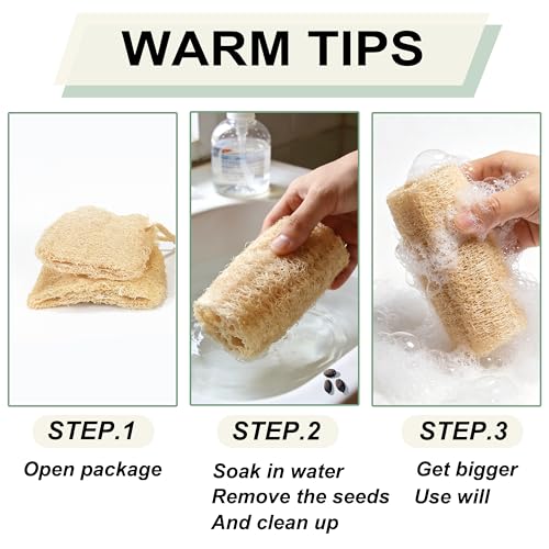 Natural Loofah Sponge 6 Pack - Organic Body Exfoliator