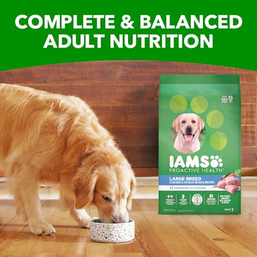 IAMS Proactive Health Large Breed Adult Dry Dog Food with Real Chicken, 15 lb. Bag