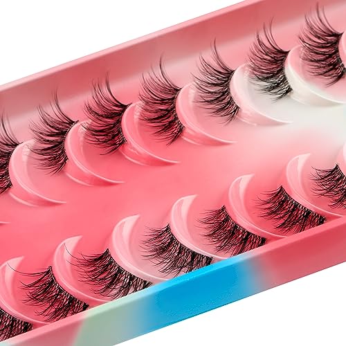 HICOCU Half False Eyelashes Clear Band Russian Strip Lashes D DD Curl Fluffy Mink Lashes Natural Wispy Mink Eye Lashes Pack Reusable Fake Eyelashes Extension 10 Pairs¡¦ (HAY-ZM5)