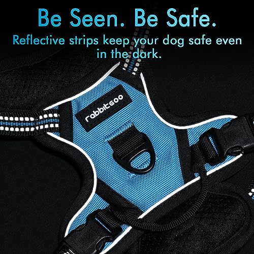 rabbitgoo Dog Harness, No-Pull Pet Harness with 2 Leash Clips, Adjustable Soft Padded Dog Vest, Reflective No-Choke Pet Oxford Vest with Easy Control Handle for Small Dogs, Blue, XS