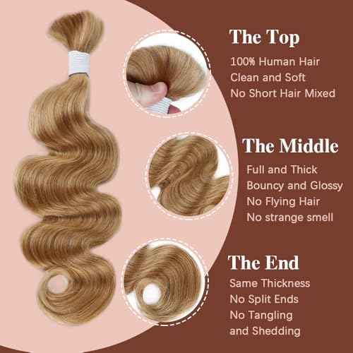 Body Wave Bulk Human Hair For Braiding #27 Honey Blonde Boho Braids Human Hair Brading Hair Extensions 100g One Bundle Wet and Wavy Human Braiding Hair For Boho Braids(20inch, Honey Blonde)