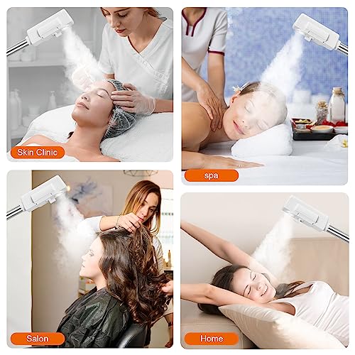 Professional 2-in-1 Facial Steamer with 5X Magnifying Lamp