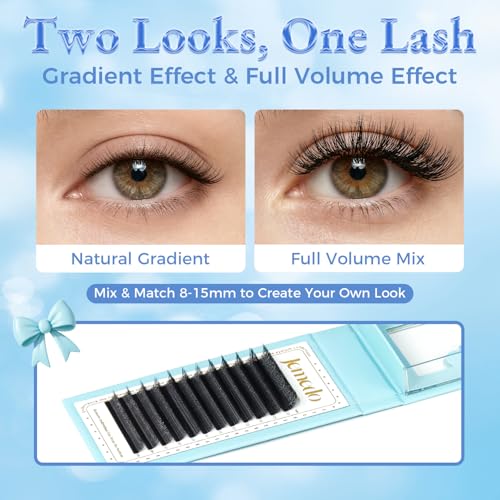 4D W-Shape Premade Fan Lash Extensions 0.07mm C/D/M Curl