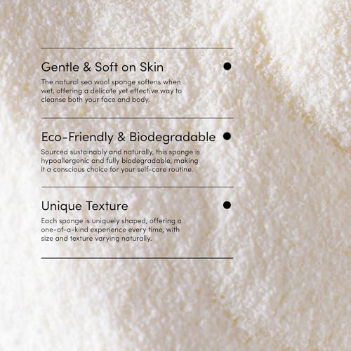 LATHER - Natrual Sea Wool Sponge 5"-6" + Foot Scrub with Pumice Stone 4oz