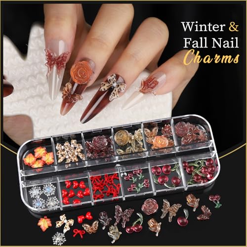 Teenitor Nail Charms & Rhinestones Kit for Nail Art, 8 Boxes & Gems Set