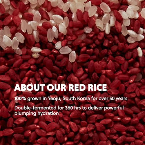 Hanyul Red Rice Hydrating Cream with Fermented Rice Extract, Collagen | Korean Vegan Ceramide Moisturizer for Deep Hydration, Radiant Skin Glow, Firming & Barrier Support, 1.86 fl. oz.