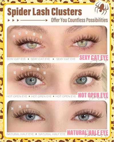 Brown Spider Lash Clusters CD-Curl 8-14MM Invisible Band