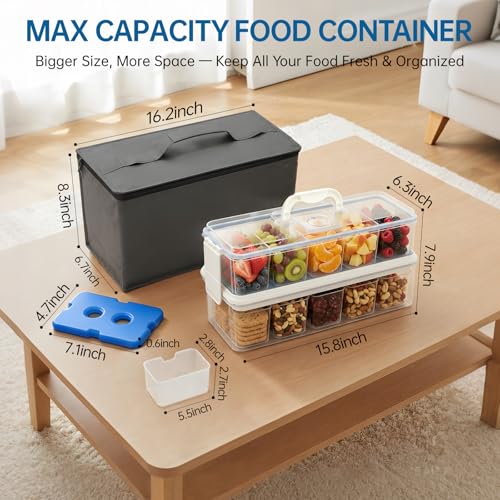 Snackle Box 10-Compartment Chilled Serving Tray with Ice Packs