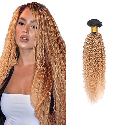 Ombre Honey Blonde Kinky Curly Hair Bundles 28 Inch
