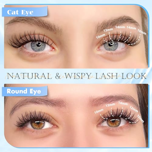 Natural Lash Clusters Wispy Eyelash Clusters 110Pcs Cluster Eyelash Extensions C Curl Individual Lashes 10-16MM Mix Length Natural Look Lashes Clusters with Thin Lash Band, Black