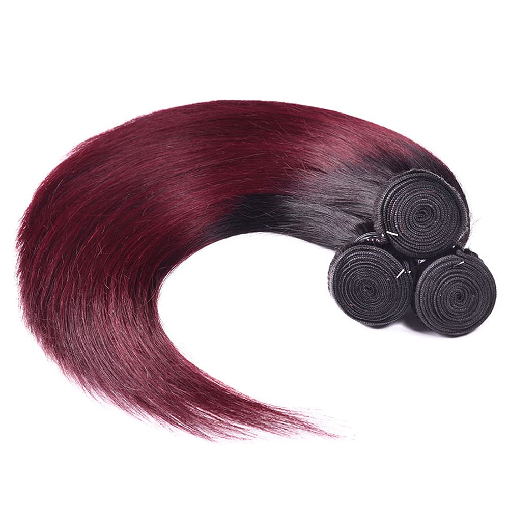 24 26 28 Inch Burgundy Human Hair Bundles Ombre 1b99j Bundles Brazilian Straight Remy Hair 3 Bundles Red Straight Bundles Human Hair Double Weft Hair Extensions for Black Women 100g/Pc