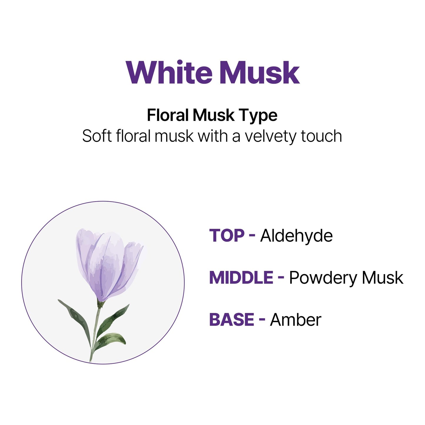 KUNDAL Honey & Macadamia Natural Shampoo [White Musk] Korean Hair Care Shampoo Damage Repair Strengthen, Nourish, with Argan Oil, Free Paraben & Sulfate 16.9 fl oz (Pack of 2),Stocking Stuffers