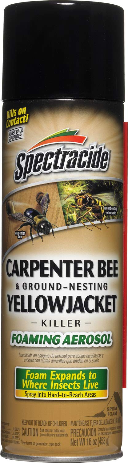 Spectracide Carpenter Bee and Ground Nesting Yellow Jacket Foaming Aerosol for Insects, 16-Ounce