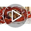 Dr Pepper XL Fleece Blanket 80”x60” - Soft Throw for Fans