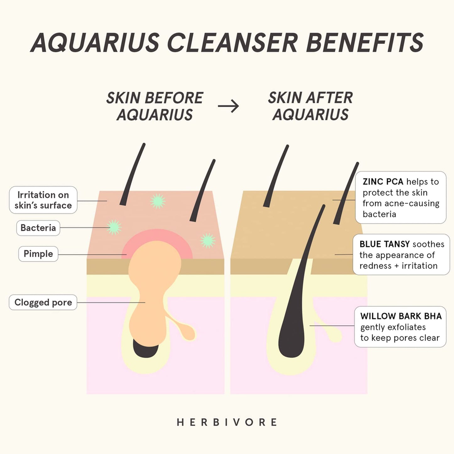 HERBIVORE Aquarius BHA + Blue Tansy Clarity Cleanser – Deep Cleansing, Gentle Exfoliation for Oily-Combination Skin, Plant-Based, Vegan, Cruelty-free, 3.3 oz