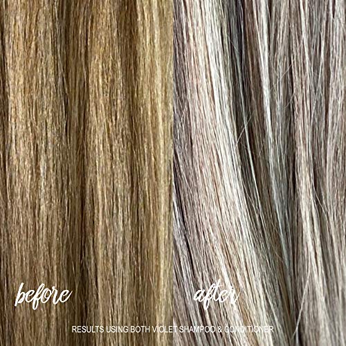 Surface Hair Pure Blonde Violet Shampoo
