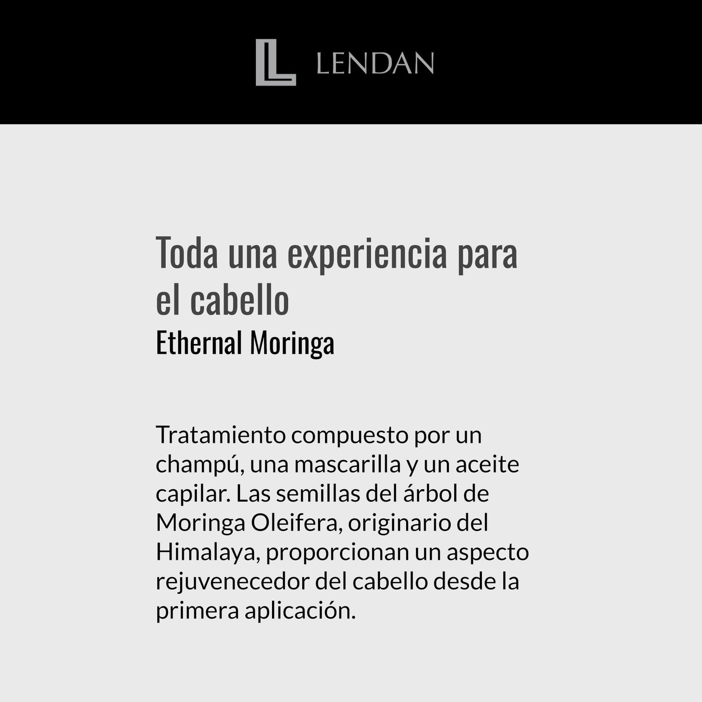 Lendan - Hydrating Hair Mask - Ethernal Moringa Mask - 500 ml - For Dry or Damaged Hair - With Moringa Oil - Helps Hydrate and Nourish for a Healthier Look - Helps Strengthen Hair