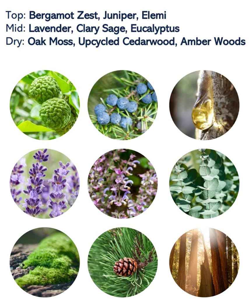 USPA Fragrance for Men - 3.4 fl oz EDT