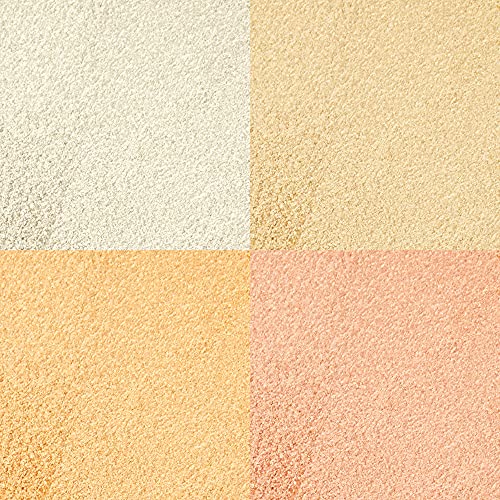 Carter Beauty Blaze Highlighter Palette | Shimmer & Matte