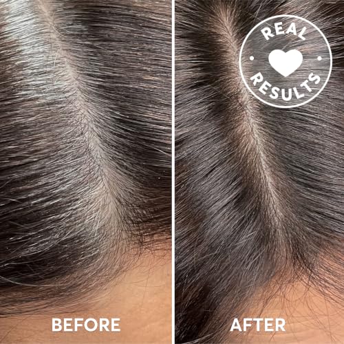 Madison Reed Root Perfection Root Touch Up Kit 4N Darkest Brown