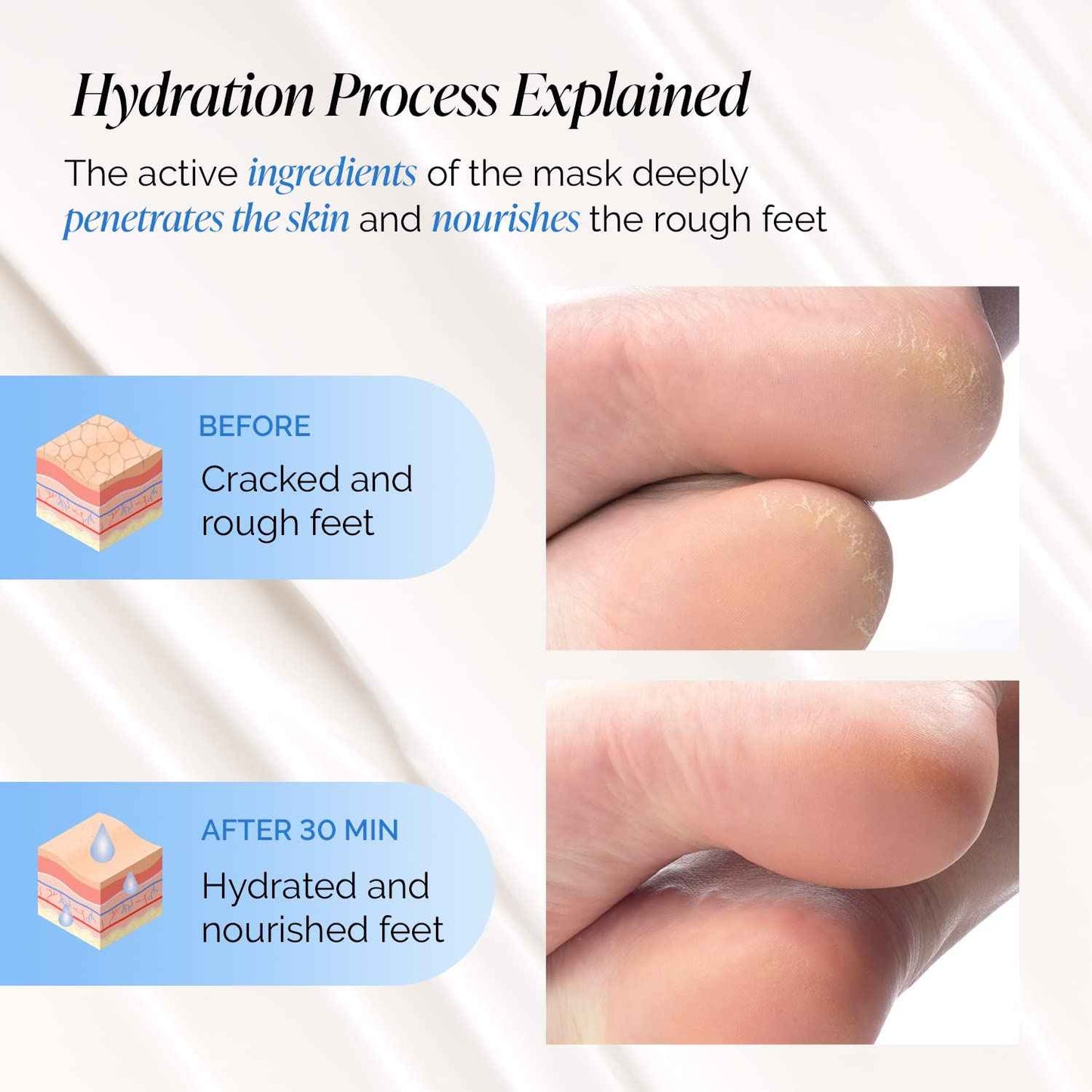 PLANTIFIQUE Korean Foot Mask with Shea Butter 8 Pairs box for Dry & Cracked Feet | Hydrating Socks for Soft Heels | Intense Moisturizing and Repairing Dry Rough Skin | Foot Spa | Happy Feet Mask