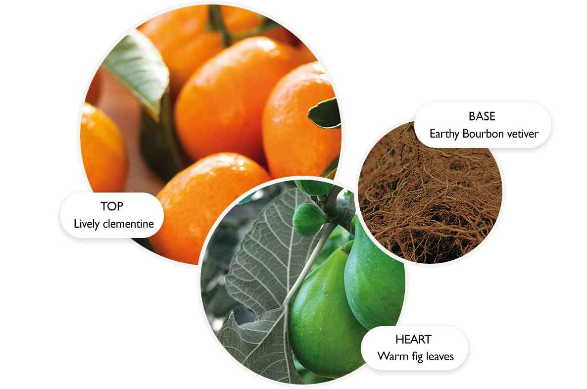 Molton Brown Sunlit Clementine & Vetiver Bath & Shower Gel 10 fl. oz.