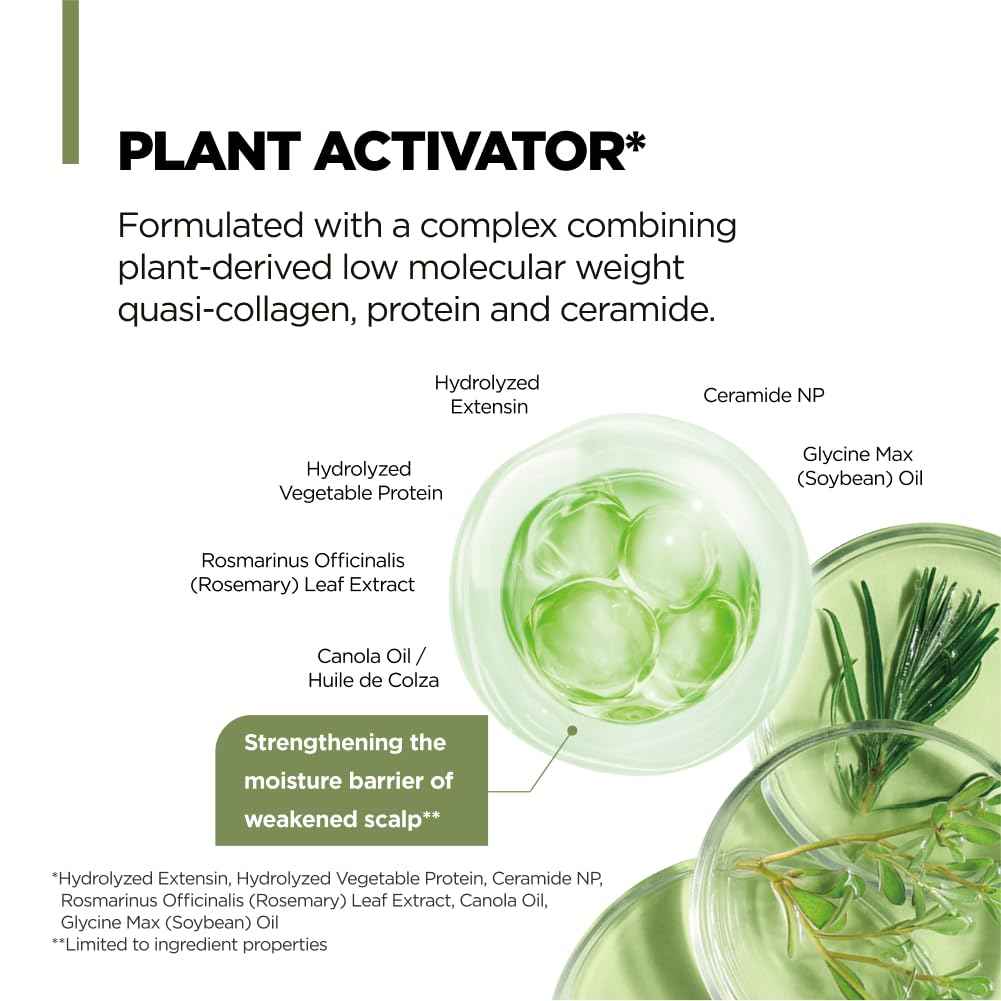 AMOS PROFESSIONAL Botanic Calm Activating Shampoo l Vegan Scalp & Hair Strengthening Shampoo with Rosemary and Biotin, Sulfate Free, 16.9 fl. oz.