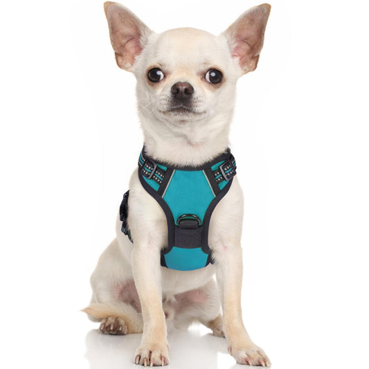 rabbitgoo Dog Harness, No-Pull Pet Harness with 2 Leash Clips, Adjustable Soft Padded Dog Vest, Reflective No-Choke Pet Oxford Vest with Easy Control Handle for Large Dogs, Teal, X-Small