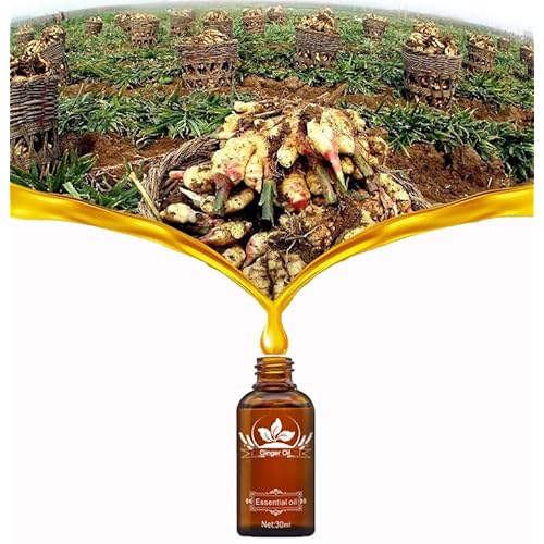 2 Pack Ginger Oil for Lymphatic Drainage, Vamotto Ginger Essential Oil for Swelling and Pain Skin Body Massage, Ginger Massage Oil Essential, SPA Ginger Essential Oils, Ginger Body Oil 30ML/Bottle