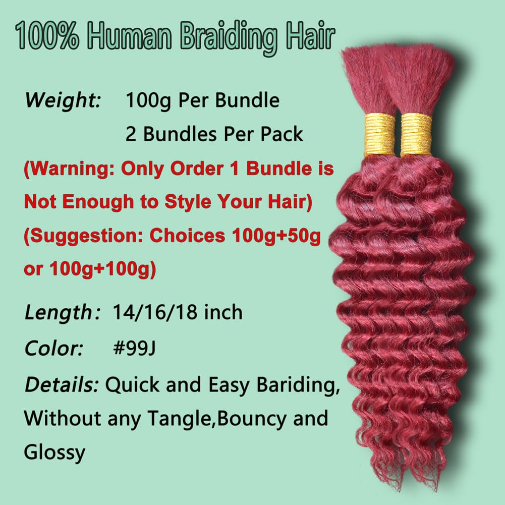 Eileen 14 Inch 100g 2 Bundles Deep Wave Bulk Human Hair for Braiding Curly Human Hair for Boho Braids Water Wet and Wavy Curls Micro Braiding Hair Extensions Brazilian Virgin 99J Burgundy