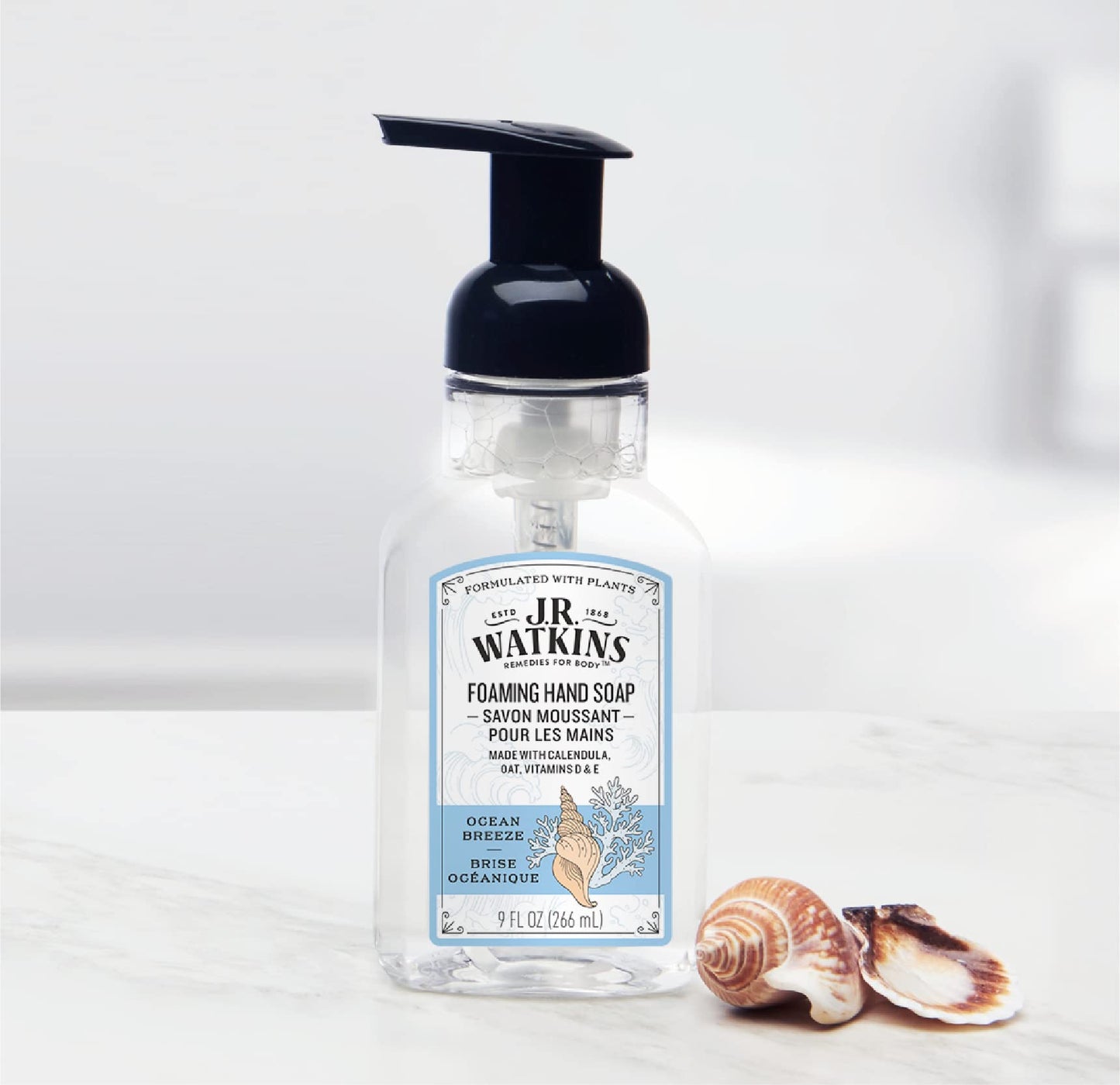 J.R. Watkins Foaming Hand Soap For Bathroom or Kitchen, Scented, USA Made And Cruelty Free, 9 Fl Oz, Ocean Breeze, 6 Pack