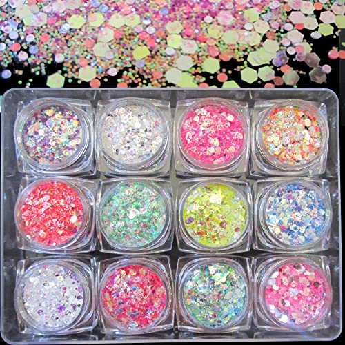 LoveOurHome 24 Box Iridescent Aurora Glitters Powder Pigment Nail Decorations Hexagon Chunky Flakes Sequins Accessories for Resin Epoxy Crafts Festival Makeup Body Acrylic Nails Design