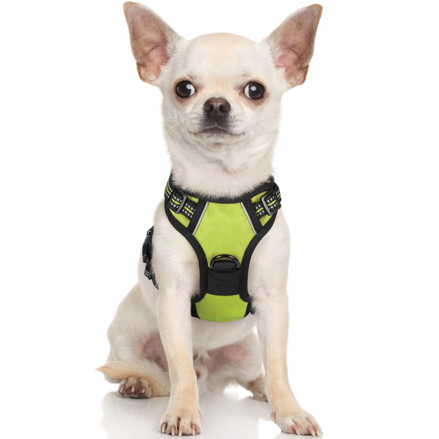 rabbitgoo Dog Harness, No-Pull Pet Harness with 2 Leash Clips, Adjustable Soft Padded Dog Vest, Reflective No-Choke Pet Oxford Vest with Easy Control Handle for Small Dogs, Wild Lime, XS