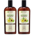 Fantasia Avocado Cilantro Conditioner 12 Ounce (355ml) (Pack of 2)