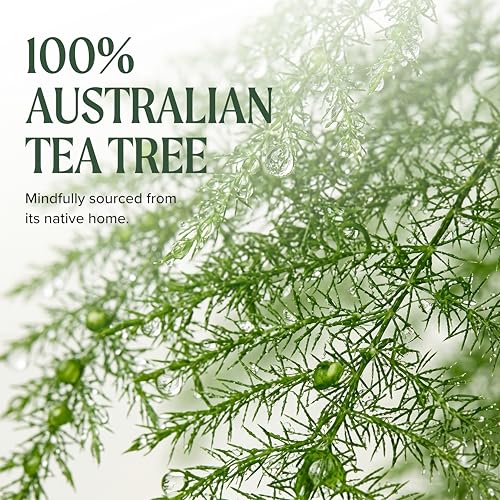 Tea Tree Moisturizer - Leave-In Conditioner & Body Lotion