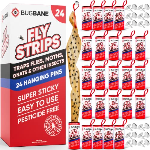 Fly Strips Indoor Sticky 24pk with Pins - Non-Toxic Flypaper