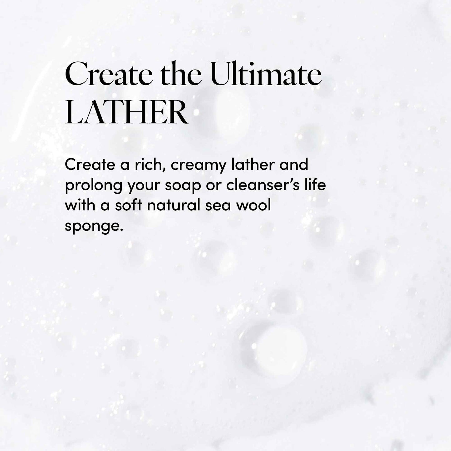 LATHER - Natural Sea Wool Sponge, 5-6" - Organic Exfoliating Body Scrubber - Soft, Gentle Cleansing - Hypoallergenic - All Skin Types - Florida Natural Loofah Sponge - Cruelty Free - Beauty & Skincare